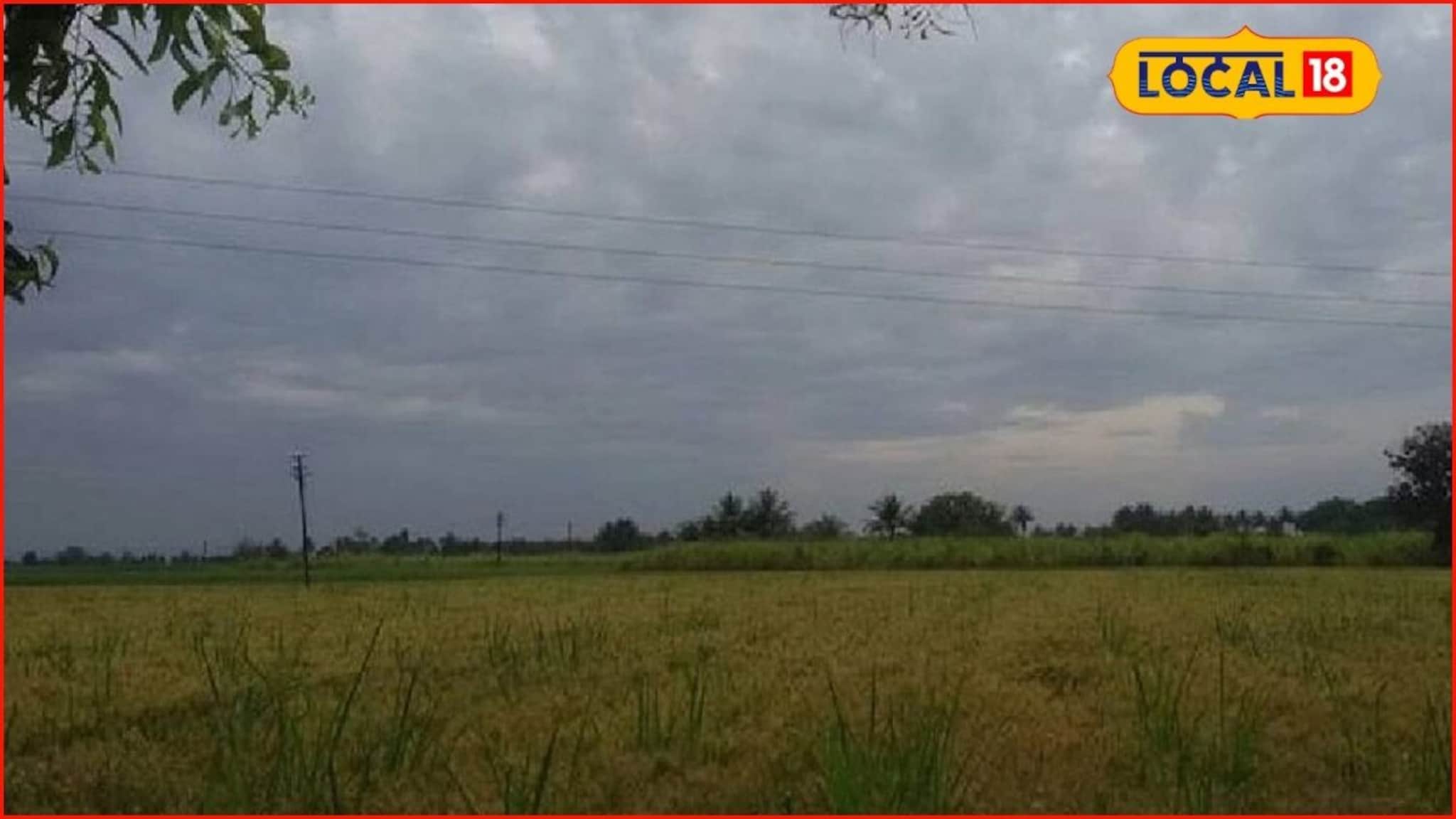 Weather Alert: 21 जानेवारीला वारं फिरलं, कुठं थंडी तर कुठं वेगळाच अलर्ट, कसं असेल हवामान?