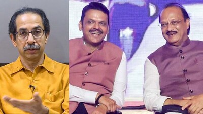 Hidden Alliance Rocks Dapoli ZP Elections: Thackeray, BJP, Ajit Pawar Factions Team Up