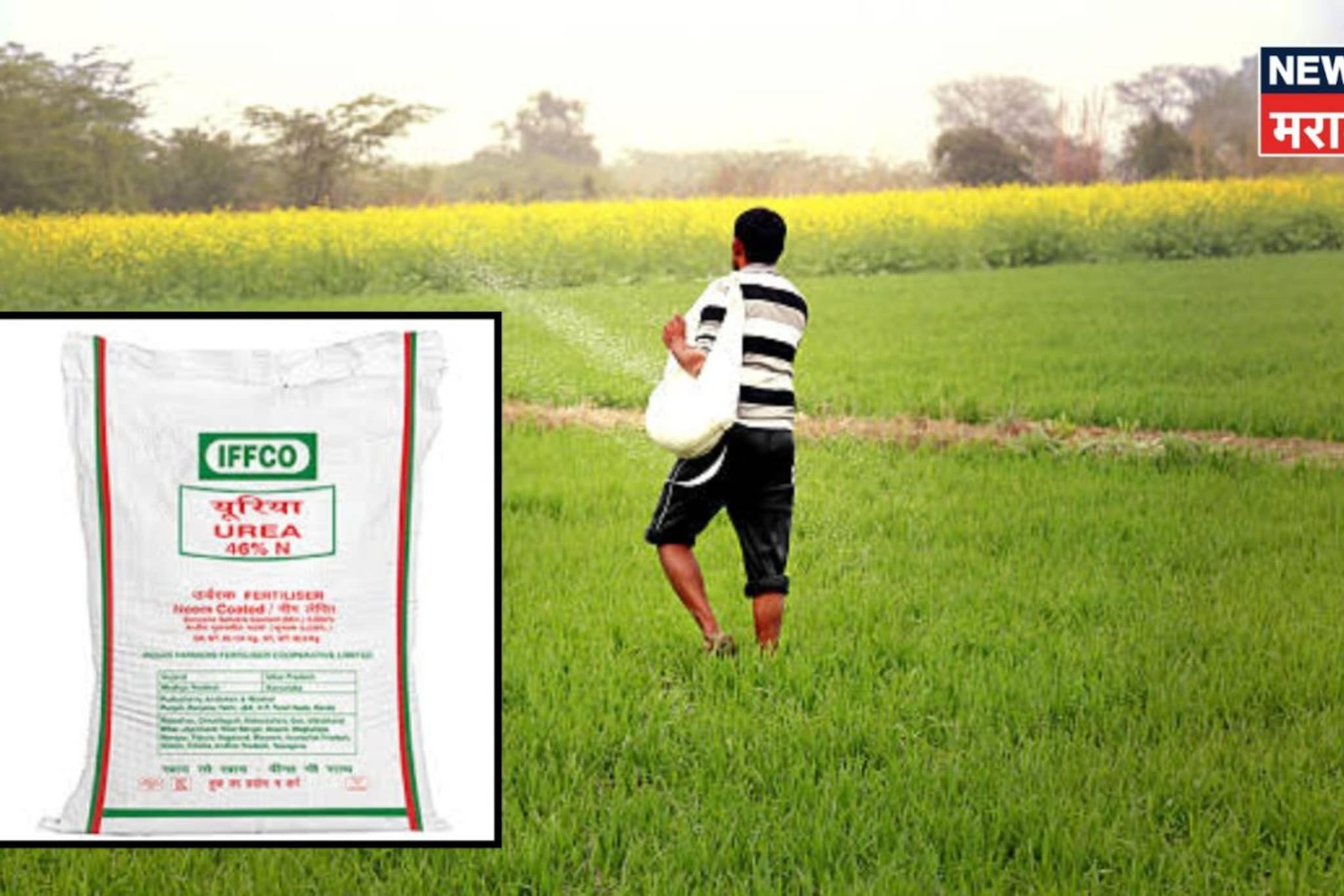 मोदी सरकारने युरियाच्या किंमतीबाबत घेतला मोठा निर्णय! फायदा होणार की तोटा? मोदी सरकारने युरियाच्या किंमतीबाबत घेतला मोठा निर्णय! फायदा होणार की तोटा?