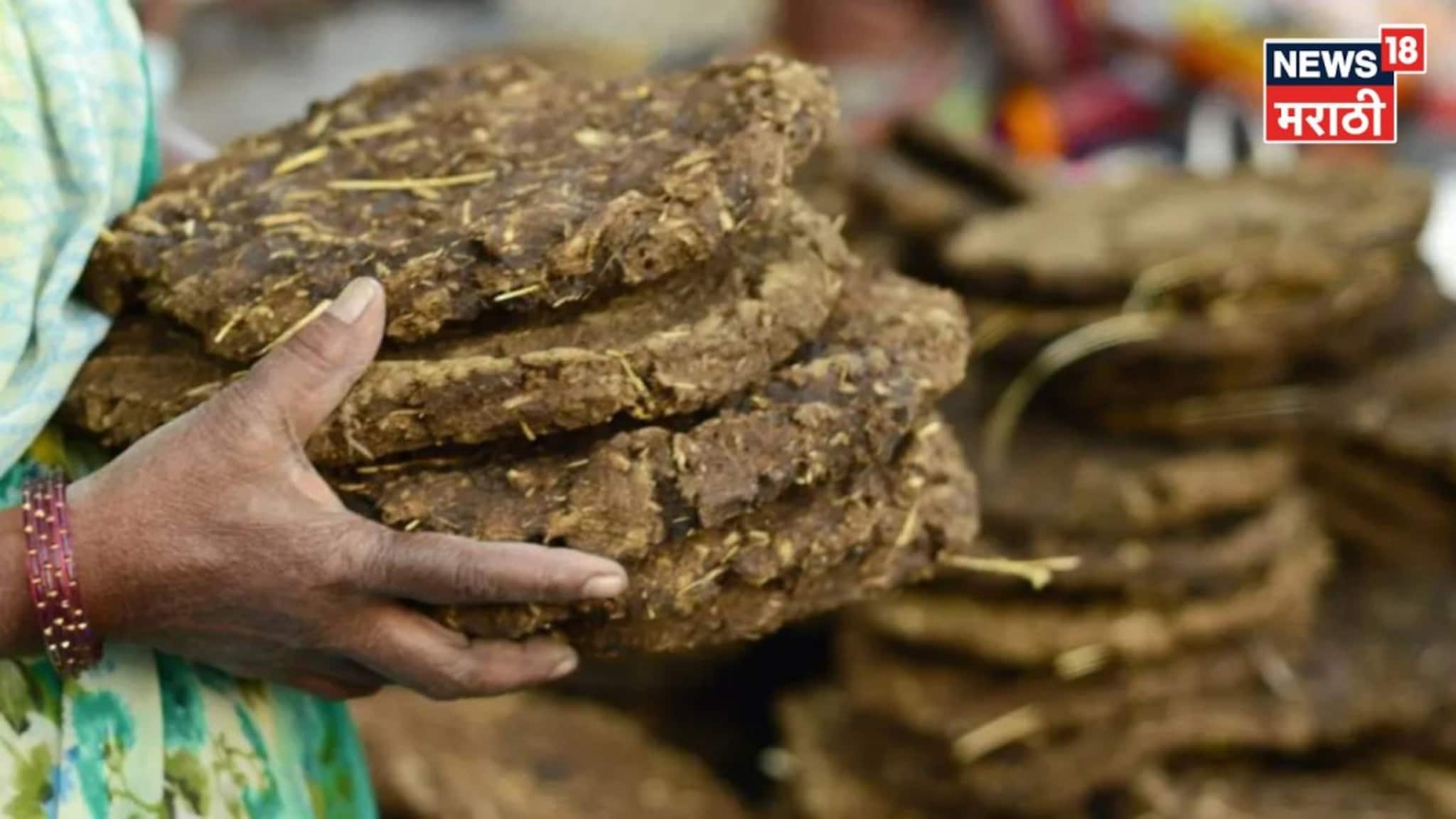 शेतकऱ्यांसाठी मोठी संधी! जनावरांच्या शेणापासून 5 वस्तू तयार करा अन् लाखो रु कमवा