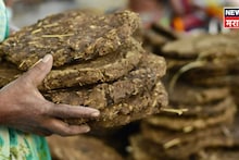 शेतकऱ्यांसाठी मोठी संधी! जनावरांच्या शेणापासून 5 वस्तू तयार करा अन् लाखो रुपये कमवा