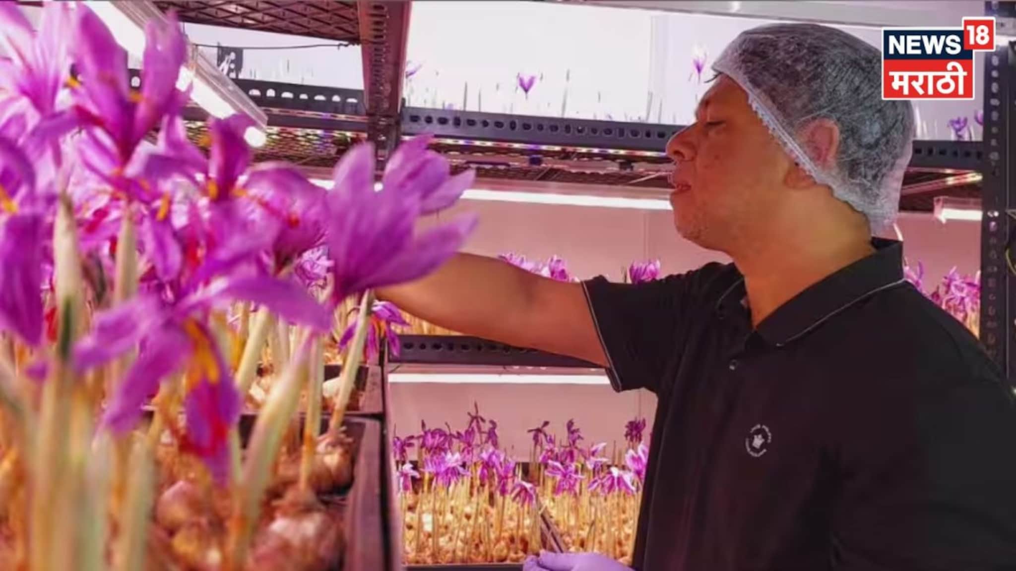 कॅन्सर झाला, किडनी निकामी! तरी हार मानली नाही,छोट्या खोलीत शेती सुरू केली अन् पुण्याचा गौतम झाला लखपती