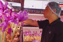 कॅन्सर झाला, किडनी निकामी! तरी हार मानली नाही,छोट्या खोलीत शेती सुरू केली अन् पुण्याचा गौतम झाला लखपती