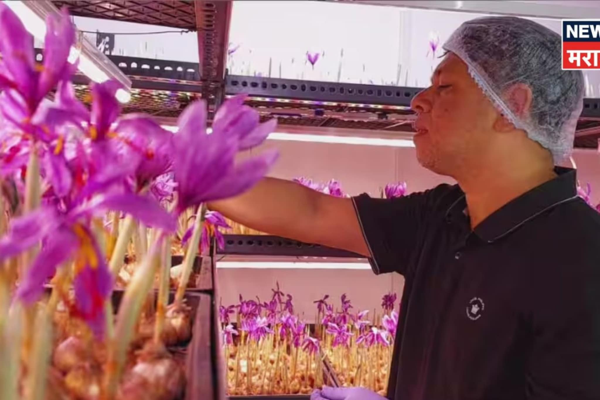 कॅन्सर झाला, किडनी निकामी! तरी हार मानली नाही, पुण्याचा गौतम शेतीतून झाला लखपती