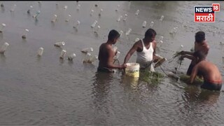 Farmer Success Story