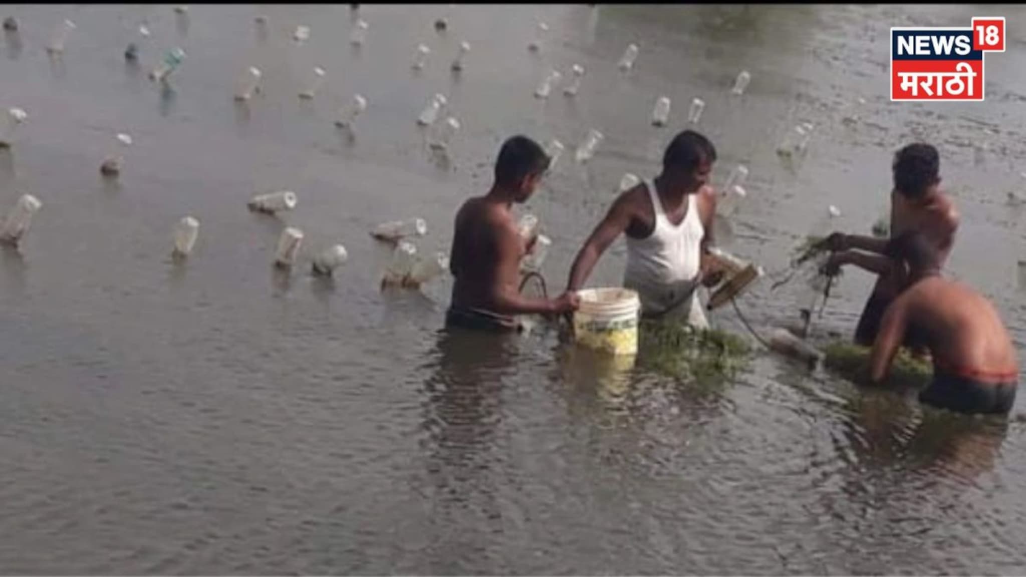 सुरुवातीला कमी भांडवल गुंतवलं, कोल्हापूरचे दिलीप महिन्याला करताय 5 लाखांची कमाई