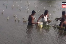 ऑनलाइन माहिती मिळवली, सुरुवातीला कमी भांडवल गुंतवलं, कोल्हापूरचे दिलीप महिन्याला करताय 5 लाखांची कमाई