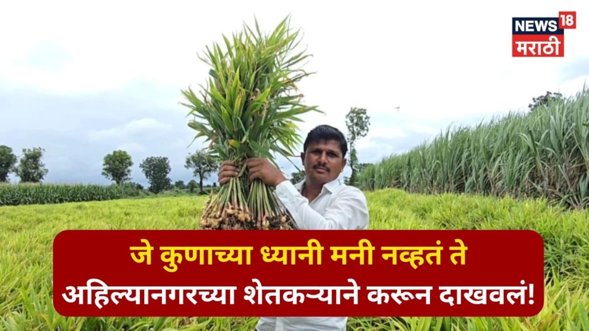 अहिल्यानगरच्या शेतकऱ्याने करून दाखवलं,या पिकातून ३० गुंठ्यात ९ लाखांची केली कमाई