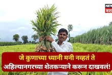 जे कुणाच्या ध्यानी मनी नव्हतं ते अहिल्यानगरच्या शेतकऱ्याने करून दाखवलं,३० गुंठ्यात ९ लाखांची केली कमाई