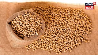 Soyabean Market Update 
