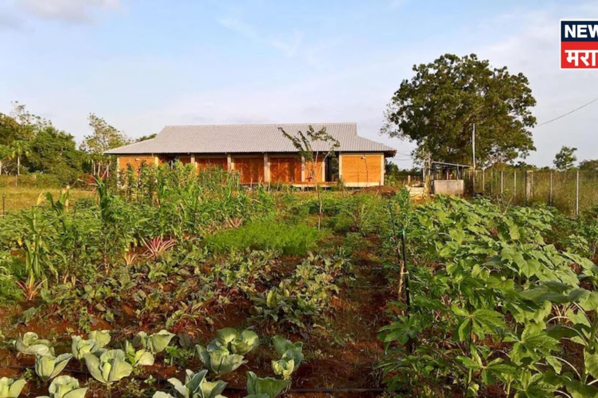 स्वत:च्या शेतजमिनीवर विनापरवानगी घर बांधल्यास कारवाई होते का? नियम काय सांगतो?