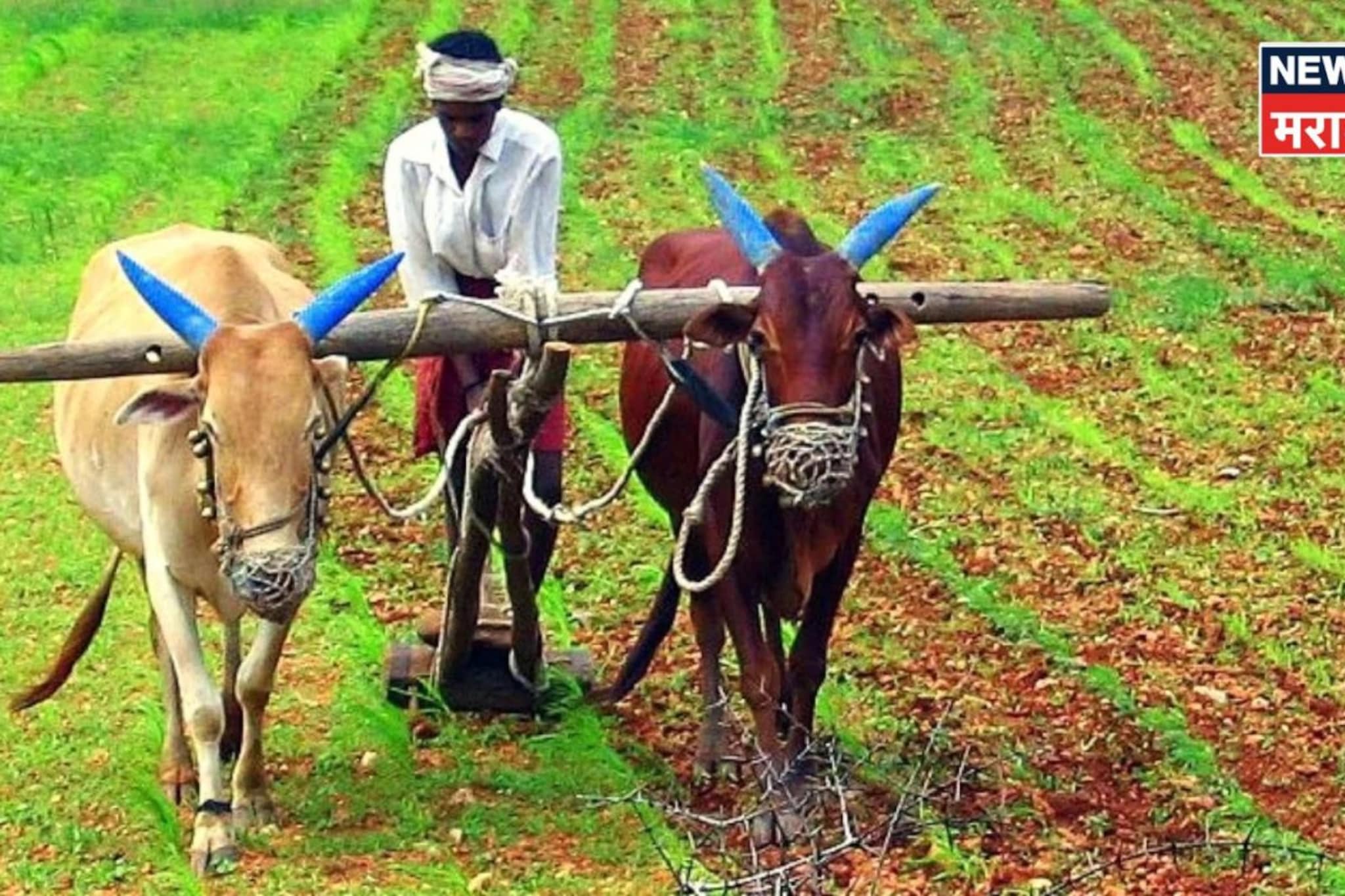 या शेतकऱ्यांच्या खात्यावर येणार नाहीत पैसे, सरकारने तातडीनं दिला अलर्ट!