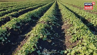 Farmer success story 