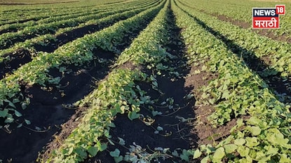 Farmer success story Farmer success story