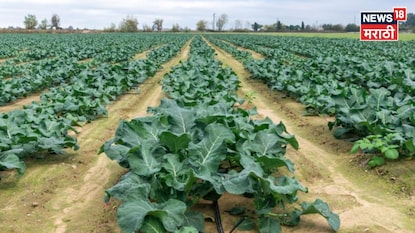 smart farming smart farming