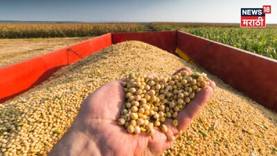 soyabean market update 