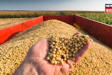 सोयबीनच्या दरात पुन्हा सुधारणा! शेतकऱ्यांना दिलासा, सध्याचे मार्केट काय?