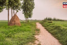 भूमीअभिलेख विभागाचा महत्वाचा निर्णय! शेतरस्त्यांसाठी पोर्टल सुरू करणार, काय फायदा होणार?