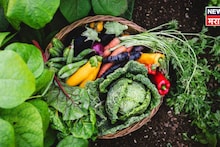 लागवडीची हीच वेळ! पुन्हा वर्षभर पैसे कमवण्याची संधी नाही, मार्केटमध्ये तूफान मागणी,२ महिन्यांत व्हाल मालामाल