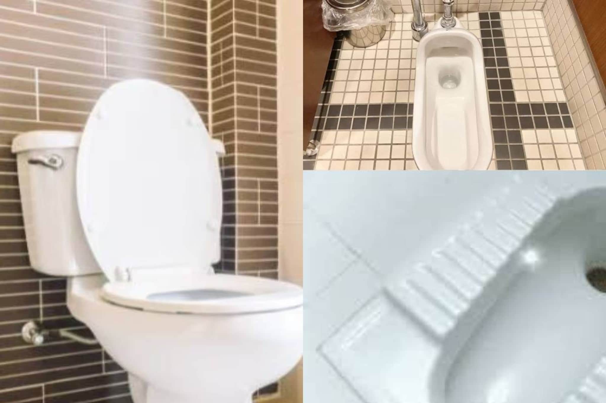 कमोडवर बसून की गुडघे मोडून? शौच करण्याचा कोणता मार्ग शरीरासाठी जास्त आरोग्यदायी?