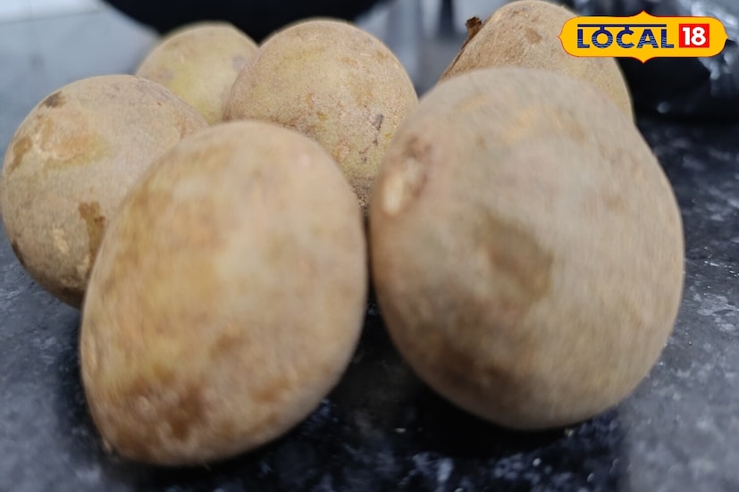 चिक्कूमध्ये नैसर्गिक साखर, फायबर आणि आवश्यक खनिजे असतात. हे शरीराला त्वरित ऊर्जा देण्यास मदत करतात. त्यात व्हिटॅमिन बी, सी आणि ई तसेच कॅल्शियम, मॅग्नेशियम, पोटॅशियम, मॅंगनीज आणि भरपूर फायबर असते. म्हणूनच चिक्कू खाल्ल्याने पचन सुधारते आणि रोगप्रतिकारक शक्ती वाढते. चिक्कूमध्ये नैसर्गिक साखर, फायबर आणि आवश्यक खनिजे असतात. हे शरीराला त्वरित ऊर्जा देण्यास मदत करतात. त्यात व्हिटॅमिन बी, सी आणि ई तसेच कॅल्शियम, मॅग्नेशियम, पोटॅशियम, मॅंगनीज आणि भरपूर फायबर असते. म्हणूनच चिक्कू खाल्ल्याने पचन सुधारते आणि रोगप्रतिकारक शक्ती वाढते.