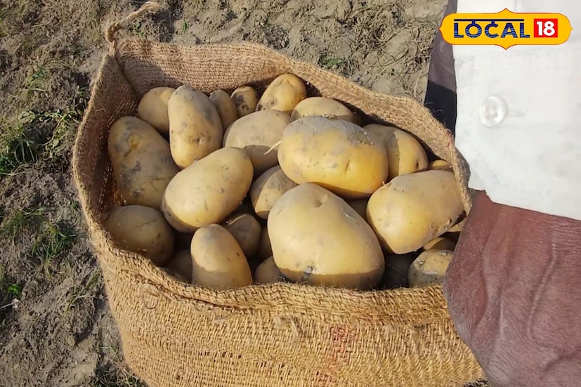 आज आपण पाहणार आहोत बटाट्याचे पापड बनवण्याची पद्धत. हे पापड चविष्ट असतात आणि दीर्घकाळ टिकतात. ते घरी बाणवणंही खूप सोपं आहे. फक्त योग्य पद्धतीने बनवा आणि ते उन्हात वाळवा. एकदा बनवल्यानंतर हे बटाट्याचे पापड वर्षभर टिकतात आणि ते खूप कुरकुरीत होतात.