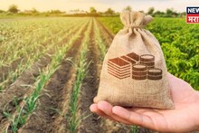 पीक विम्यासाठी अर्ज केला पण तो मंजूर झाला की नाही? २ मिनिटांत चेक करा