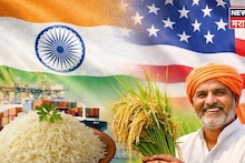 ट्रम्प सरकारकडून भारतीय शेतकऱ्यांना गुड न्यूज! ५ हजार टन बासमती तांदूळ खरेदी करणार