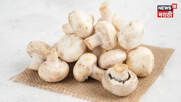 एक्स्ट्रा इन्कम हवंय? छोट्या खोलीत सुरू करा ही शेती, महिन्याला कराल बक्कळ कमाई एक्स्ट्रा इन्कम हवंय? छोट्या खोलीत सुरू करा ही शेती, महिन्याला कराल बक्कळ कमाई