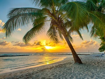 तुमची फॉरेन ट्रॅव्हल लिस्ट करा अपडेट, 'या' 26 देशांत करू शकता व्हिसा फ्री प्रवास