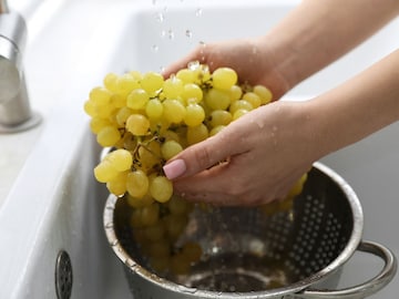 द्राक्ष फक्त पाण्यात टाकून धुणं पुरेसं नाही, पाहा स्वच्छ करण्याची अचूक पद्धत द्राक्ष फक्त पाण्यात टाकून धुणं पुरेसं नाही, पाहा स्वच्छ करण्याची अचूक पद्धत