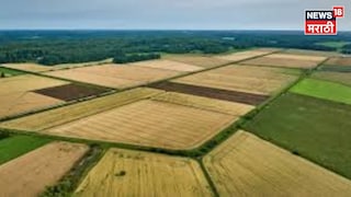 Agriculture News Agriculture News