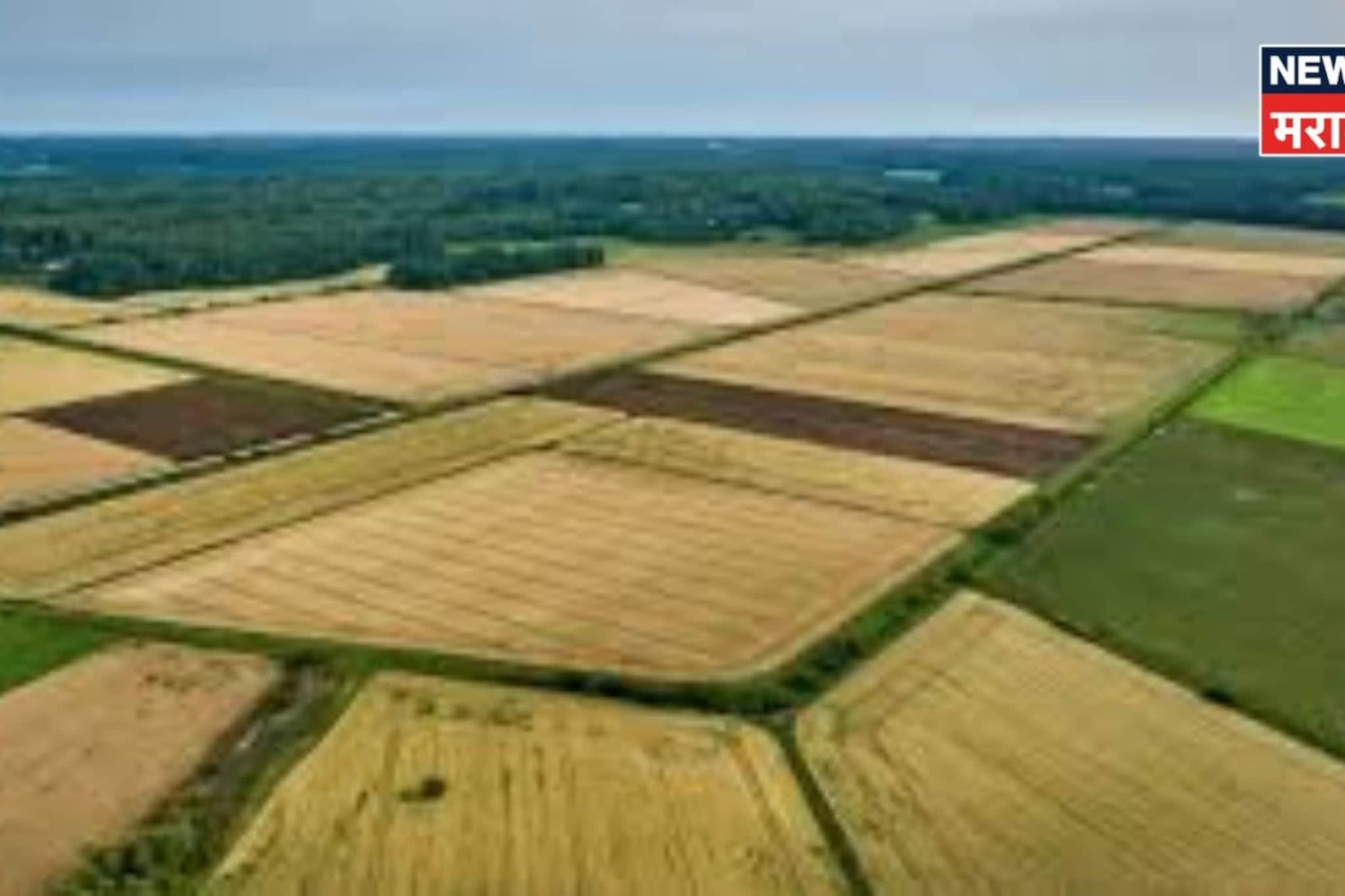 जमीन भूसंपादनाबाबत मोठा निर्णय! महसूल अन् वन विभागाकडून नवं परिपत्रक जाहीर