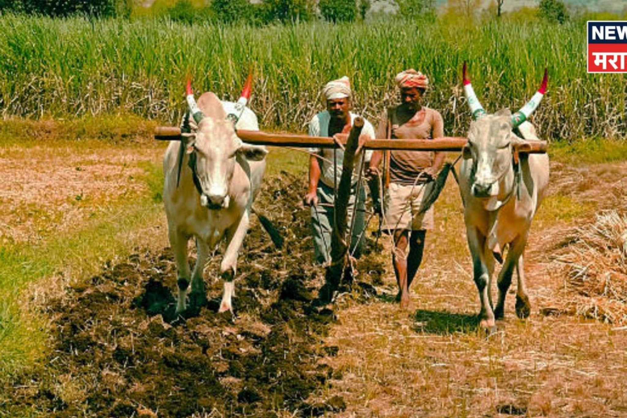 तुम्ही कुळातून जमिनीचे मालक झाले आहात का? तिची खरेदी-विक्री करता येते का? तुम्ही कुळातून जमिनीचे मालक झाले आहात का? तिची खरेदी-विक्री करता येते का?