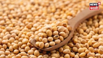 शेतकऱ्यांचं टेन्शन वाढलं! सोयाबीनच्या दरात घसरण सुरूच, आजचे बाजारभाव काय?