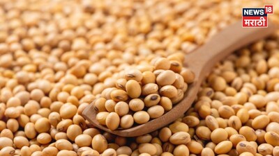 Soyabean Market Update 