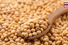 Soyabean Market Update : सोयाबीनची आवक वाढली! पण दर स्थिर,आजचे बाजारभाव काय?