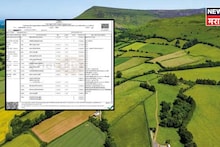 सामाईक खात्यांच्या सातबारा उताऱ्यांत हा मोठा बदल होणार! सरकारकडून अध्यादेश जारी