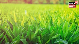 Farmer Success Story Farmer Success Story