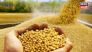 Soyabean Market Update Soyabean Market Update