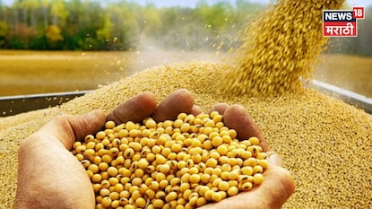 Soyabean Market Update Soyabean Market Update