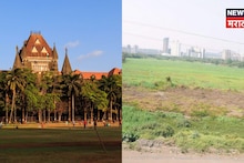 २४ महिन्यांत जमिनीचे....,मुंबई उच्च न्यायालयाचा जमिनींसंदर्भात मोठा निर्णय