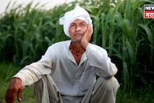 सोलापुरात सावकारी कर्जफेडीसाठी किती शेतकऱ्यांनी विकल्या किडन्या? गृह विभागाने विधानसभेत दिली धक्कादायक माहिती