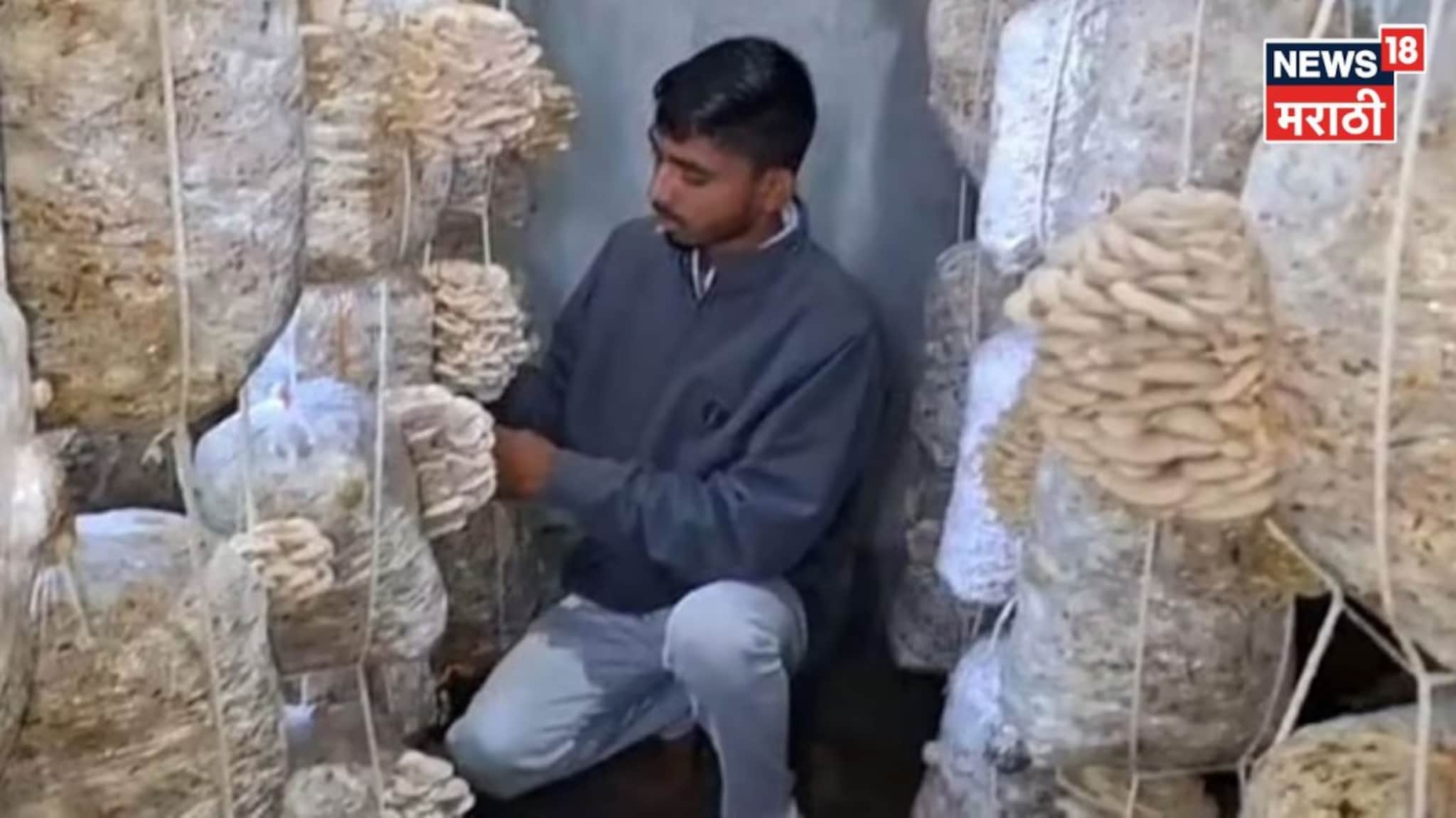 इंजिनिअर मुकुंदचा नाद खुळा! नोकरी न करता १० बाय १० च्या खोलीत सुरू केला भन्नाट व्यवसाय, आता करतोय लाखोंची कमाई