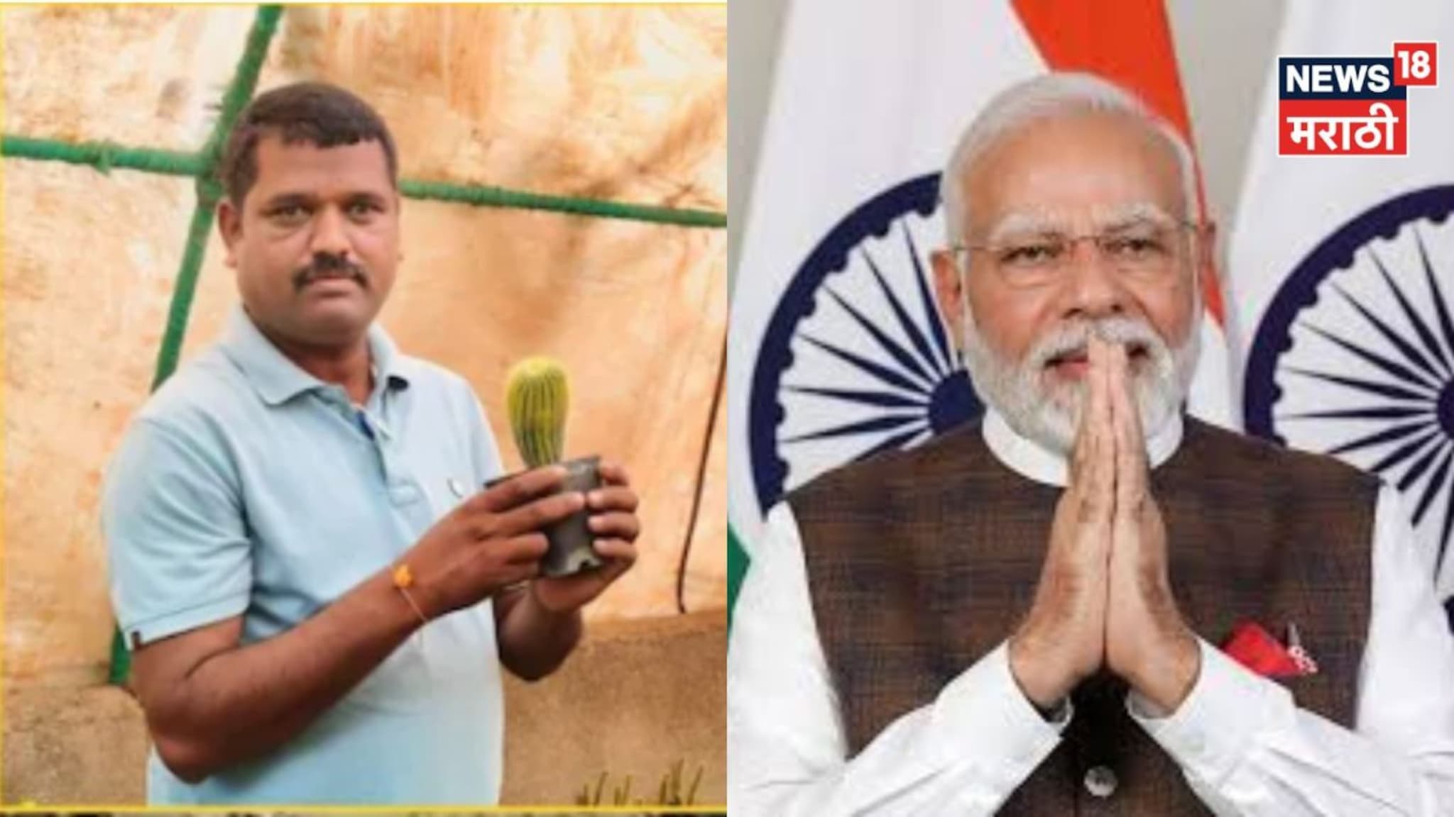 ना द्राक्षे, ना स्ट्रॉबेरी! शिर्डीचे सतीश काटेरी झाडांच्या शेतीतून झाले करोडपती