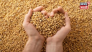 Soyabean Market Update 
