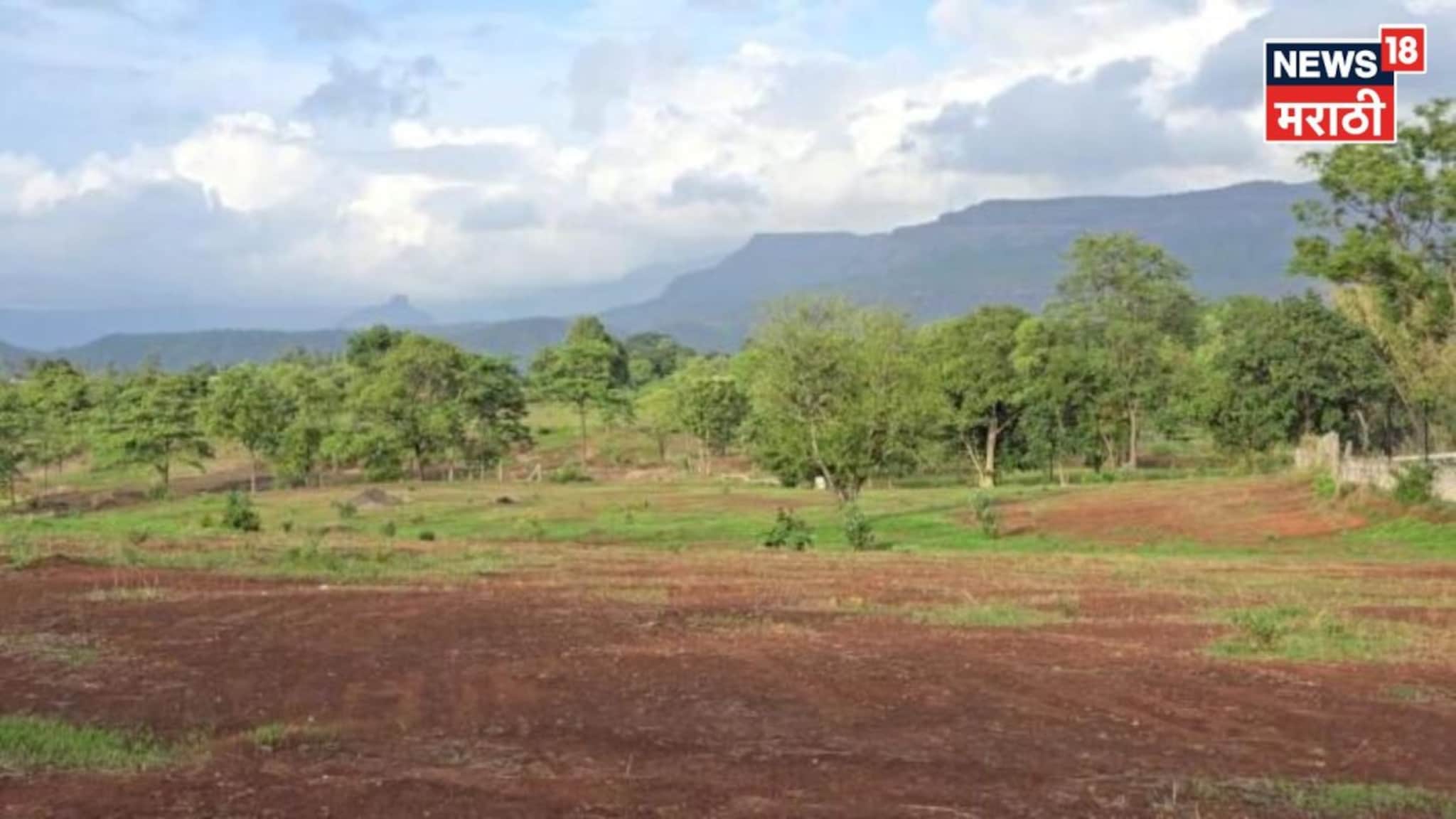 भाडेपट्टा अन् कब्जाहक्क जमिनींबाबत राज्य सरकारचा मोठा निर्णय! नागरिकांना काय फायदा होणार?