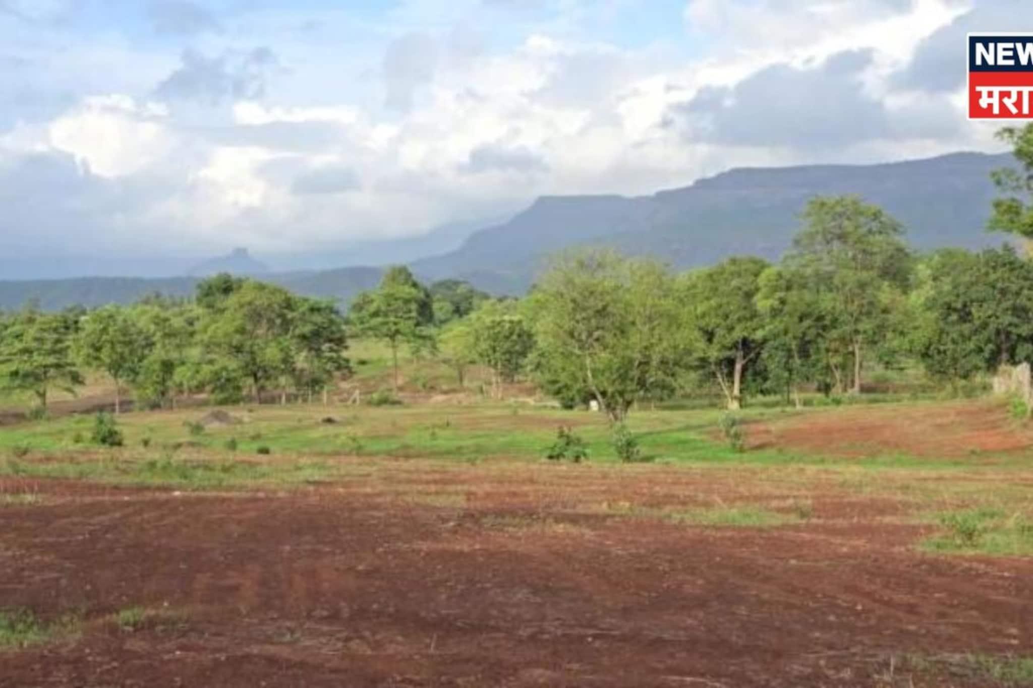 भाडेपट्टा अन् कब्जाहक्क जमिनींबाबत राज्य सरकारचा मोठा निर्णय!