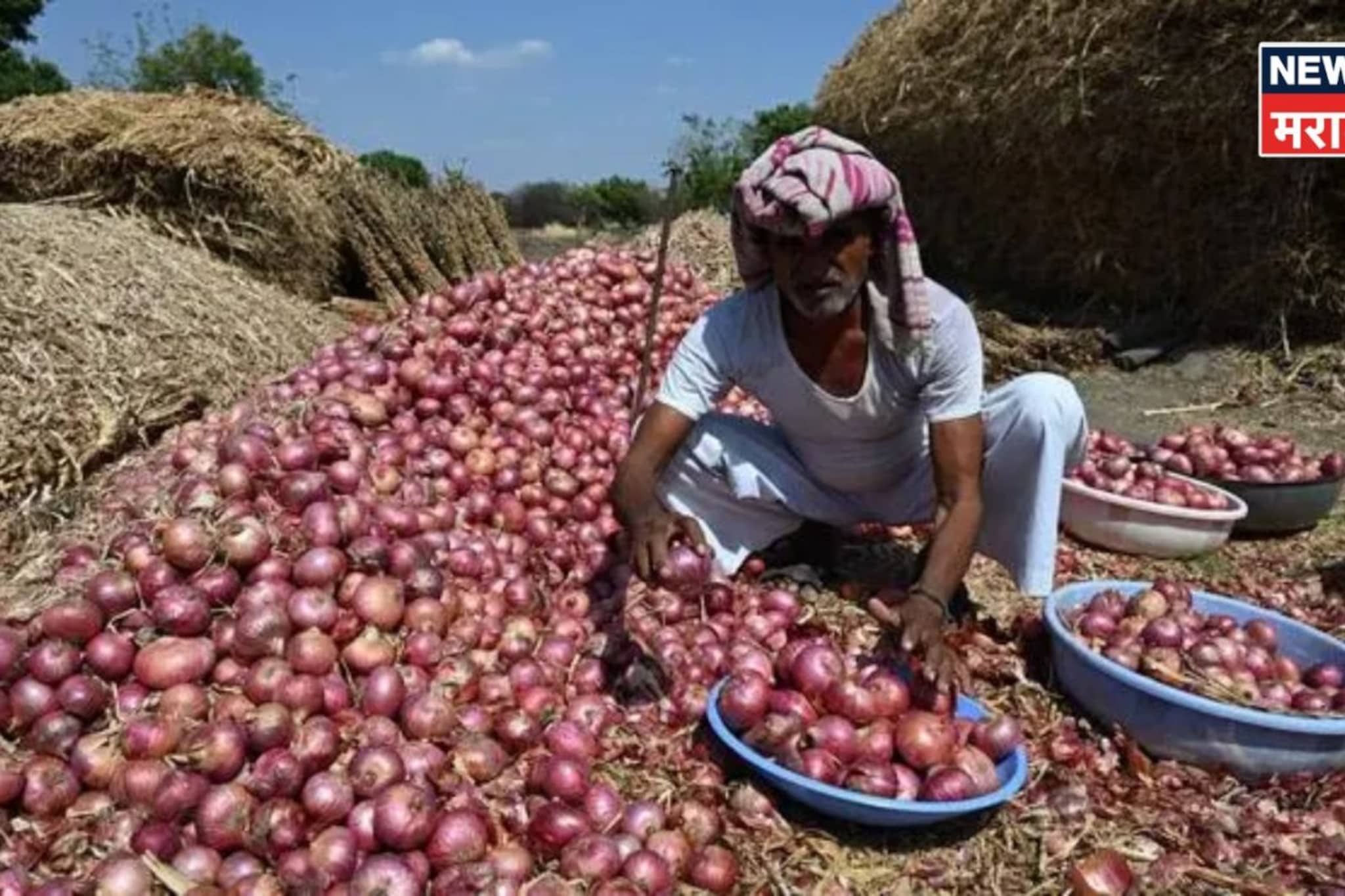 कांद्याचे दर मोठ्या प्रमाणात का घसरले? बाजारभाव कधी वाढणार?