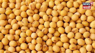 Soyabean Market Update